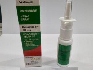 Rhinobude